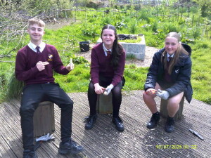 Article Thumbnail Image