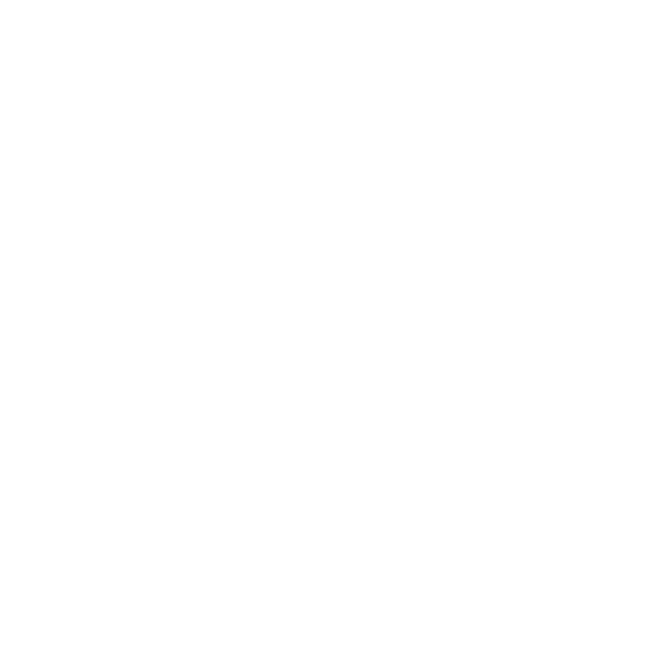 Prospectus Link Icon
