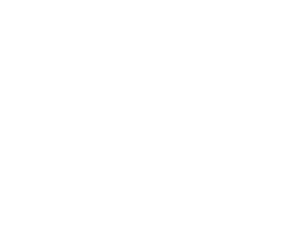 Prospectus Link Icon